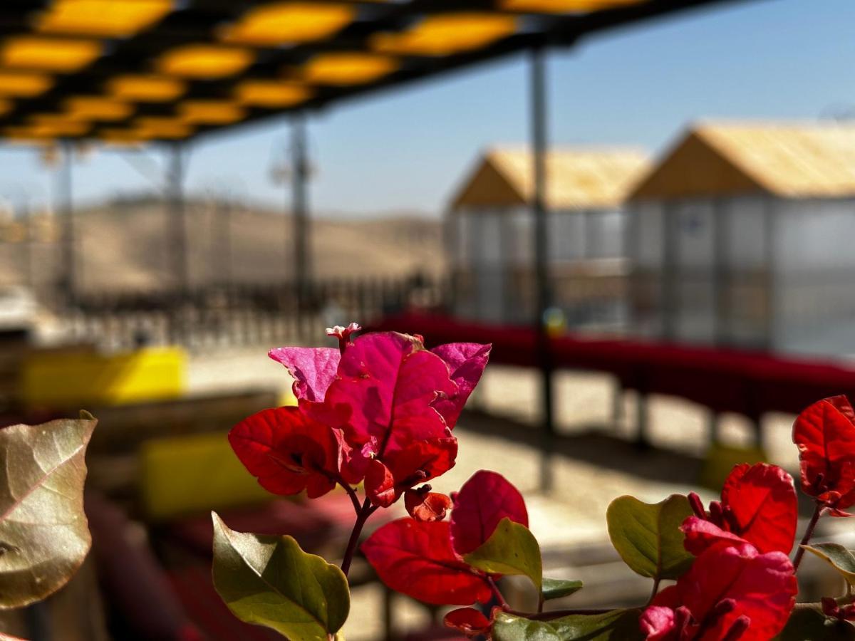 Wadi Al-Wala View Camp Hotell Madaba Exteriör bild